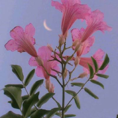 半岛·综合手机app下载